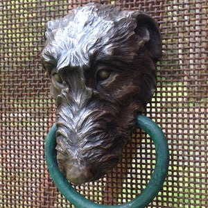 Irish Wolfhound image 3