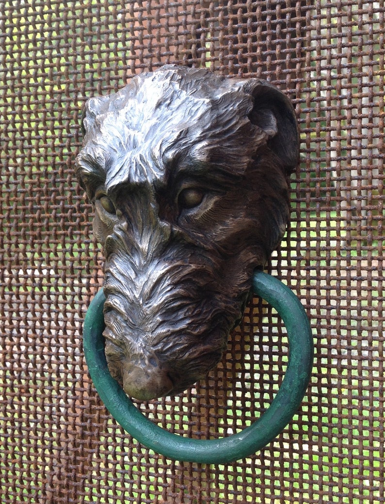 Irish Wolfhound image 3