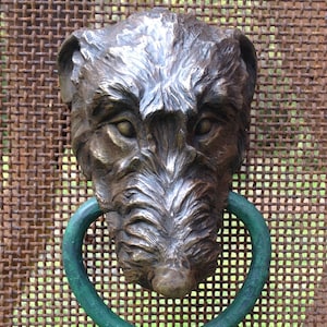 Irish Wolfhound image 2