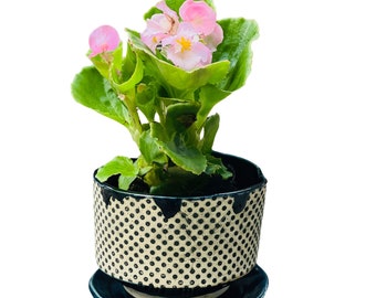 Jardinière en argile, pot de plantes d’intérieur, jardinière en poterie faite à la main, pot chic pour plantes, jardinière succulente rustique, pot à pois noir