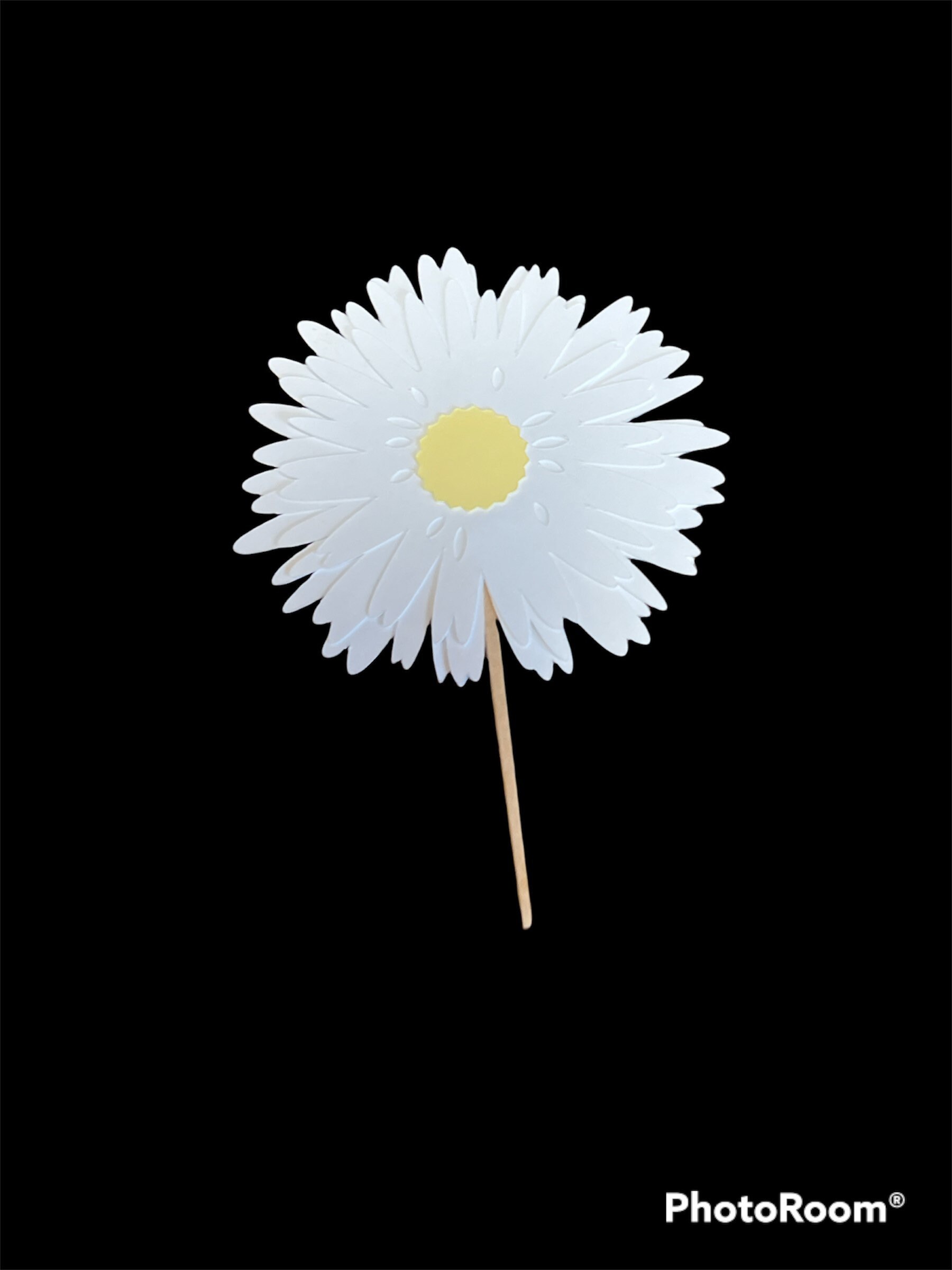Daisy, White Daisy, Daisy Cupcake Topper, Cupcake Topper, Party