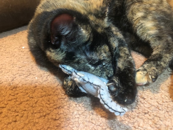 Peep cat toy deals