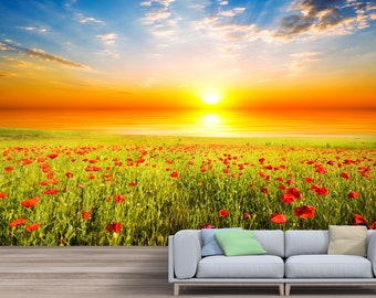 wallcovering Field of poppies on a sunset wallmural repositonable photomural mural photo Poppies Field traditional or removal mural