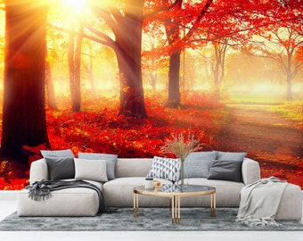 Autumn Trees and Leaves in Sunlight Wallpaper  Large Wall Mural Selfadhesive Wallpaper Removable Wallpaper Peel & Stick Wall Decal
