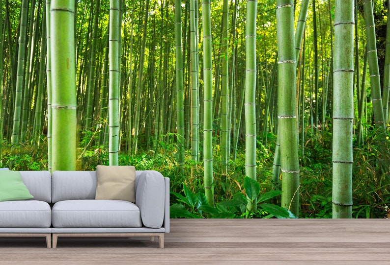Bamboo Forest Wallpaper Peel & Stick Wall Print Bamboo Trees - Etsy