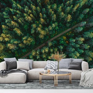 Carta da parati Pine Forest Road staccabile e rimovibile: una combinazione di eleganza e raffinatezza per gli spazi interni. Staccabile e rimovibile senza colla.
