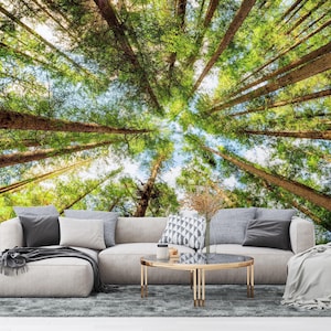 Tall Old Trees in Evergreen Forest Wallpaper –Tranquil Interior Mural Design for a Welltransformed Home or Workplace Peel & Stick Unpasted