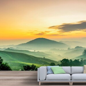 Piantagione di tè verde montagnosa e carta da parati all'alba: scopri la bellezza straordinaria e magnifica di Madre Natura. Stacca e attacca senza incollare.