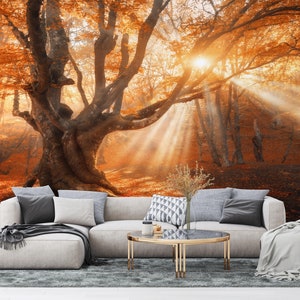 Carta da parati magica con albero antico, luminosa e affascinante, facile da installare: immergiti in un mistificante restyling dello spazio interno. Attacca e stacca senza incollare.