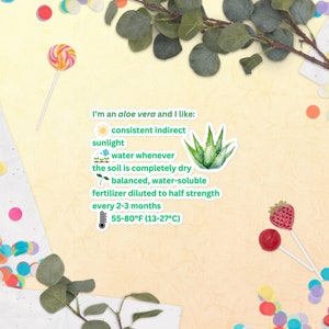 Aloe Vera Room Indoor Plants Preferences Guide Light Watering Temperature Information Bubble-Free Stickers