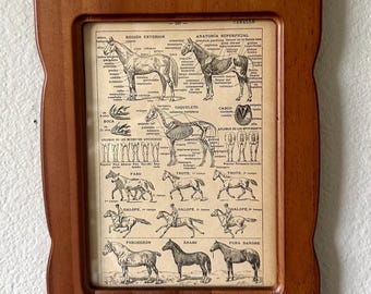 Vintage Original Spanish Dictionary Page of Horses Framed in a Brown Frame