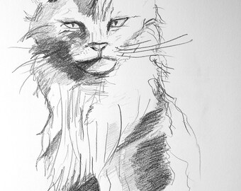 cat wildcat drawing original artwork