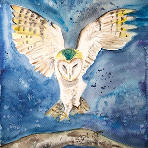 Owl barn owl, bird art, watercolour artwork original