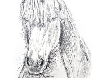 horse drawing original artwork