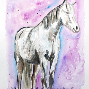 horse watercolour painting original image 3