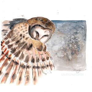 owl bird raptor original watercolour artwork