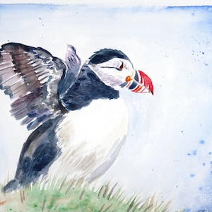 Puffin Bird Islanda acquerello opera d'arte originale