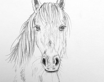 horse drawing original artwork