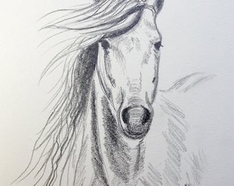 horse portrait drawing original artwork