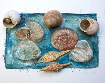 snail shell watercolour artwork fine art