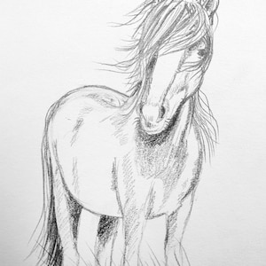 horse drawing original artwork