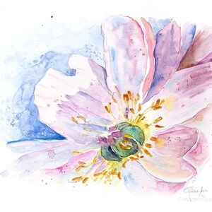 Flower blossom botanical illustration original watercolour artwork