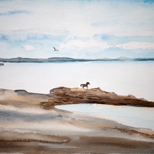 Opera d'arte ad acquerello Horse Coast Islanda originale