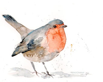 Robin bird watercolour painting original artwork