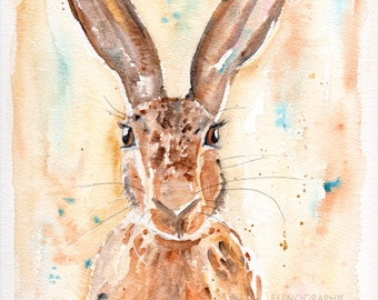 Hare watercolour painting FINEART print