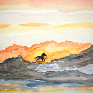 Cavallo tramonto Islanda acquerello opera d'arte originale