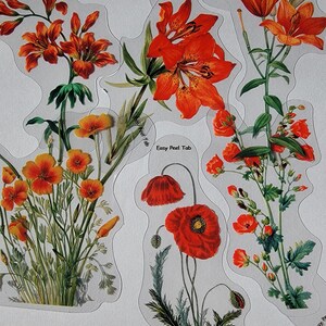 6 Blumen-Aufkleber | Lilien & Mohn | Klar - Wasserdicht - Easy Peel Tab | Collage, Scrapbooking, Junk Journals, Planer | Blumen-Sticker