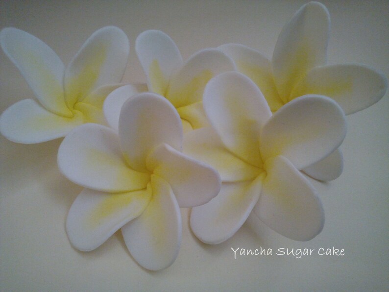 12 Plumeria Frangipani Edible Gumpaste Flowers Etsy