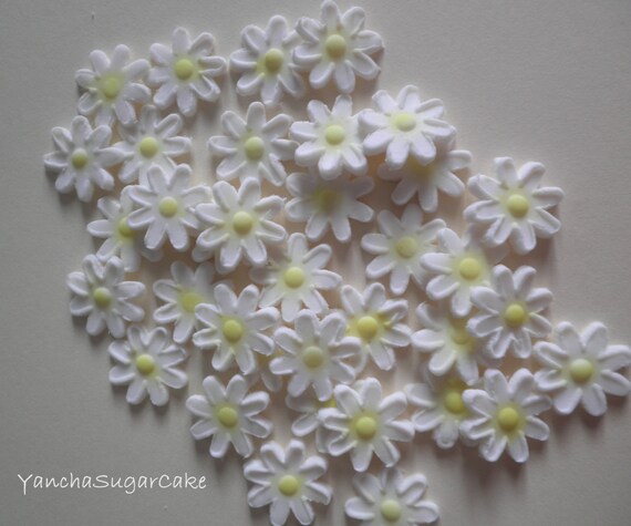 Edible Gumpaste daisy mini flowers 100 pcs Fondant Summer gift Baptism Baby shower Cupcake topper Wedding shower Birthday party Christening Il_570xn
