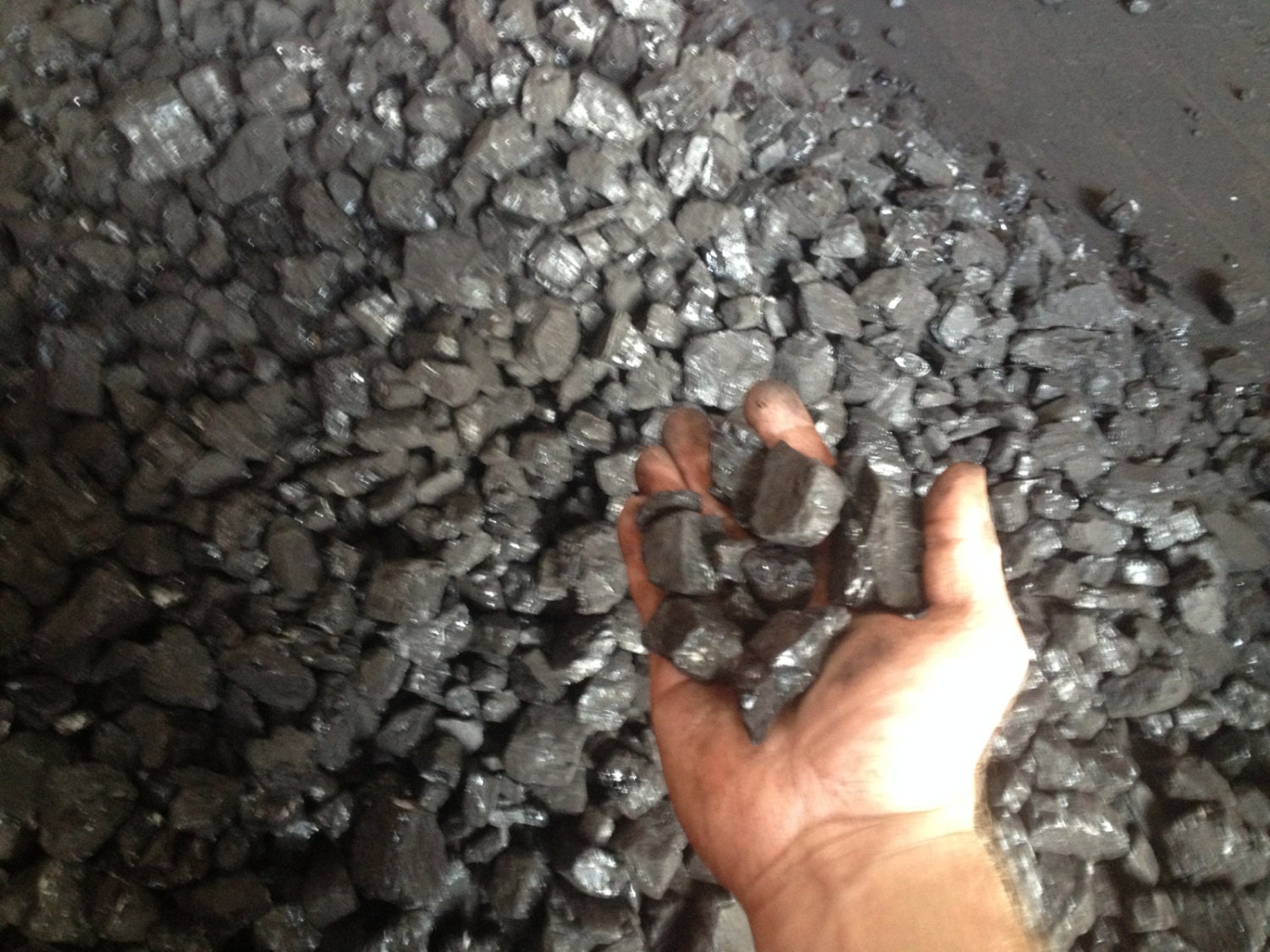 Bituminous Blacksmith Heating Coal 100lbs. Free Shipping Etsy
