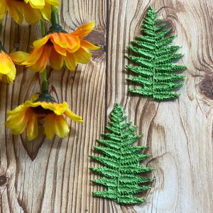 May include: Two green fern leaves on a wood background. The leaves are textured and have a realistic look.