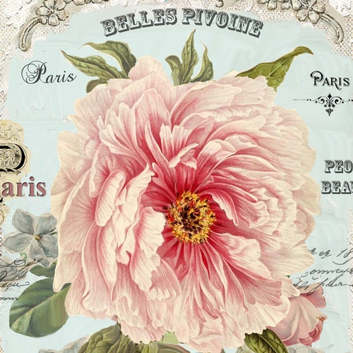 COTTAGE ROSE GARDEN Large Image Instant Download French Shabby - Etsy