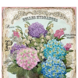 ENCHANTED COTTAGE HYDRANGEA Garden Large Image Download French Shabby Chic Transfer Fabric Lace Pillow Transfer Journal Cover png pdf jpg