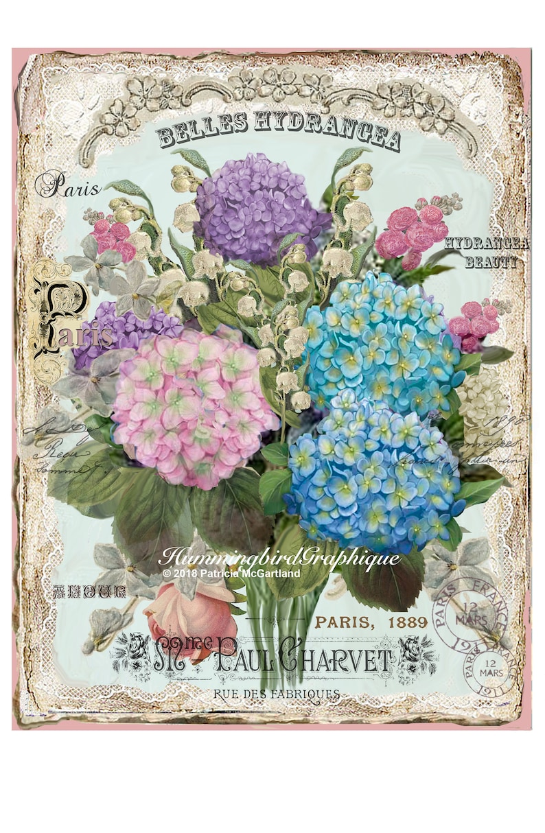 ENCHANTED COTTAGE HYDRANGEA Garden Large Image Download French Shabby Chic Transfer Fabric Lace Pillow Transfer Journal Cover png pdf jpg image 1