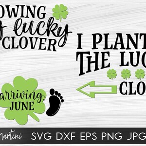 Cultiver mon trèfle chanceux Arrivée juin + J’ai planté le trèfle chanceux FICHIERS SVG Saint Patrick’s Day Annonce de grossesse Matching Couple SVG