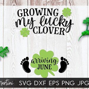 Creciendo mi trébol de la suerte Llegando junio Archivo SVG para máquinas de corte Cricut, Silhouette Día de San Patricio Anuncio de embarazo SVG