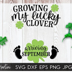 Creciendo mi trébol de la suerte Llegando septiembre Archivo SVG para máquinas de corte Cricut, Silhouette Día de San Patricio Anuncio de embarazo SVG