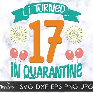 I Turned 17 in Quarantine SVG file cutting machines Cricut Silhouette Quarantine svg Quarantine Birthday svg 2020 Seventeenth Birthday svg