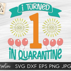 I Turned 1 in Quarantine SVG file for cutting machines Cricut Silhouette Quarantine svg Quarantine Birthday svg 2020 First Birthday svg