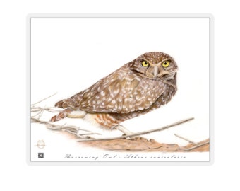 Burrowing Owl Sticker