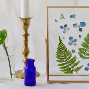 Pressed Flower Frame, Herbarium Frame