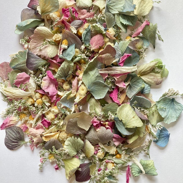 Dried flower confetti- Daydream