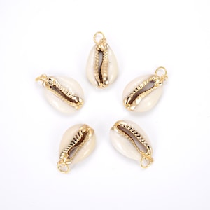 Ciondolo con conchiglia di ciprea, ciondolo con conchiglia, collana con conchiglia, collana con ciondolo, ciondolo con conchiglia, conchiglia di ciprea, 29 x 15 mm, CP778
