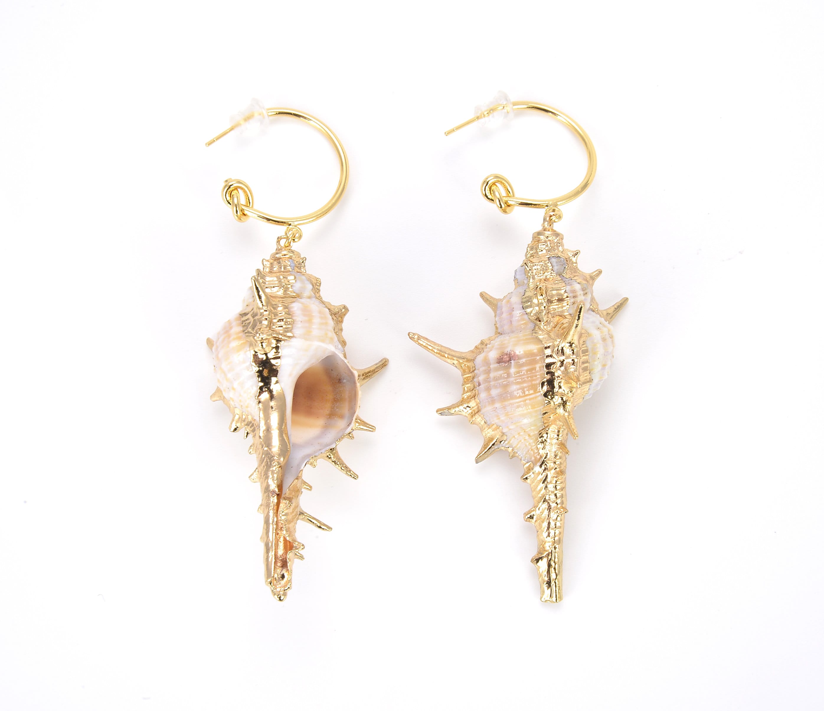 Chapado en Laton ゴールド　パール　Conche Chapado en Laton ゴールド パール Conche Chapado en Laton