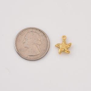 Gold Filled Starfish Charm Pendant, Stainless Steel Ocean Beach Jewelry Making Supply for DIY Necklace Bracelet, Summer Gift Idea, SCP182