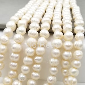 Fresh Water Pearl Beads, Gemstone Rondelle  Beads, Fresh Water Pearl, Natural Pearl Gremstone, Full Strand 15.5 inches, 11mm, GRN138-A519